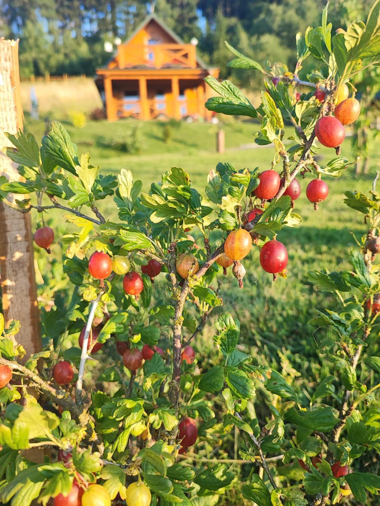 Domki Kolorowe Marciszow المظهر الخارجي الصورة
